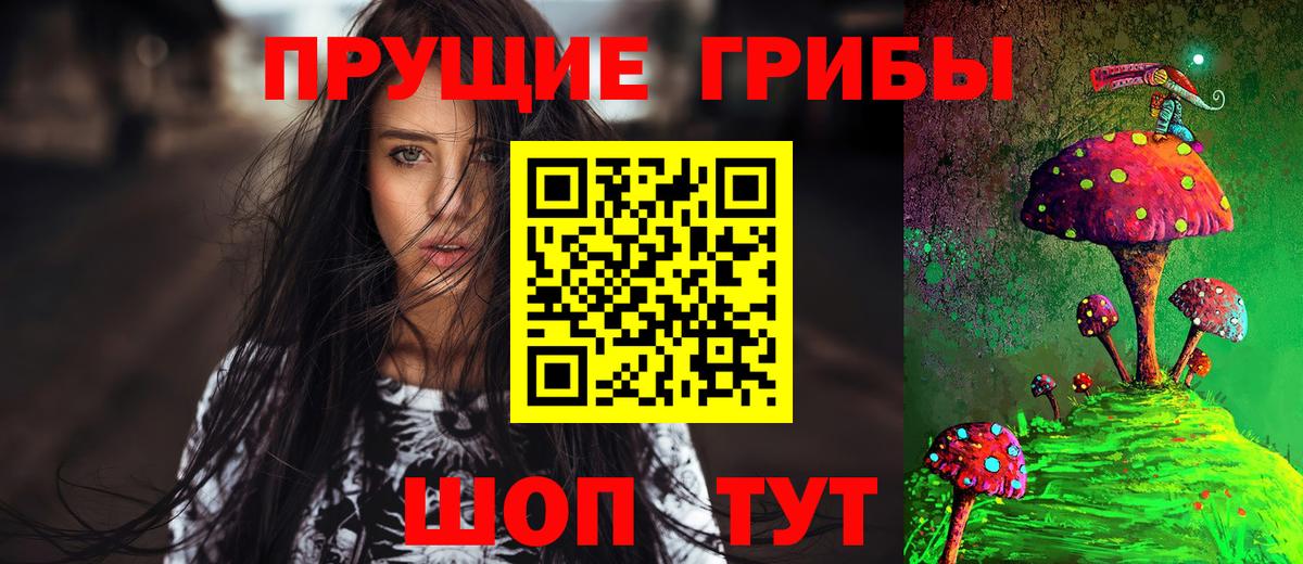 Галлюциногенные грибы GOLDEN TEACHER Медногорск